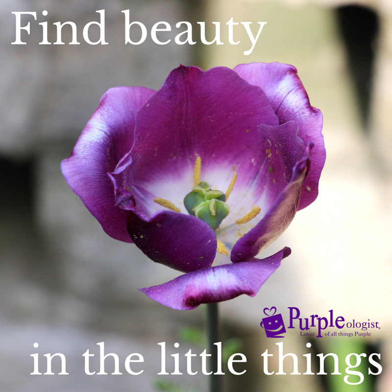11 Purple Quotes To Share With Those Who Love Purple! Purpleologist