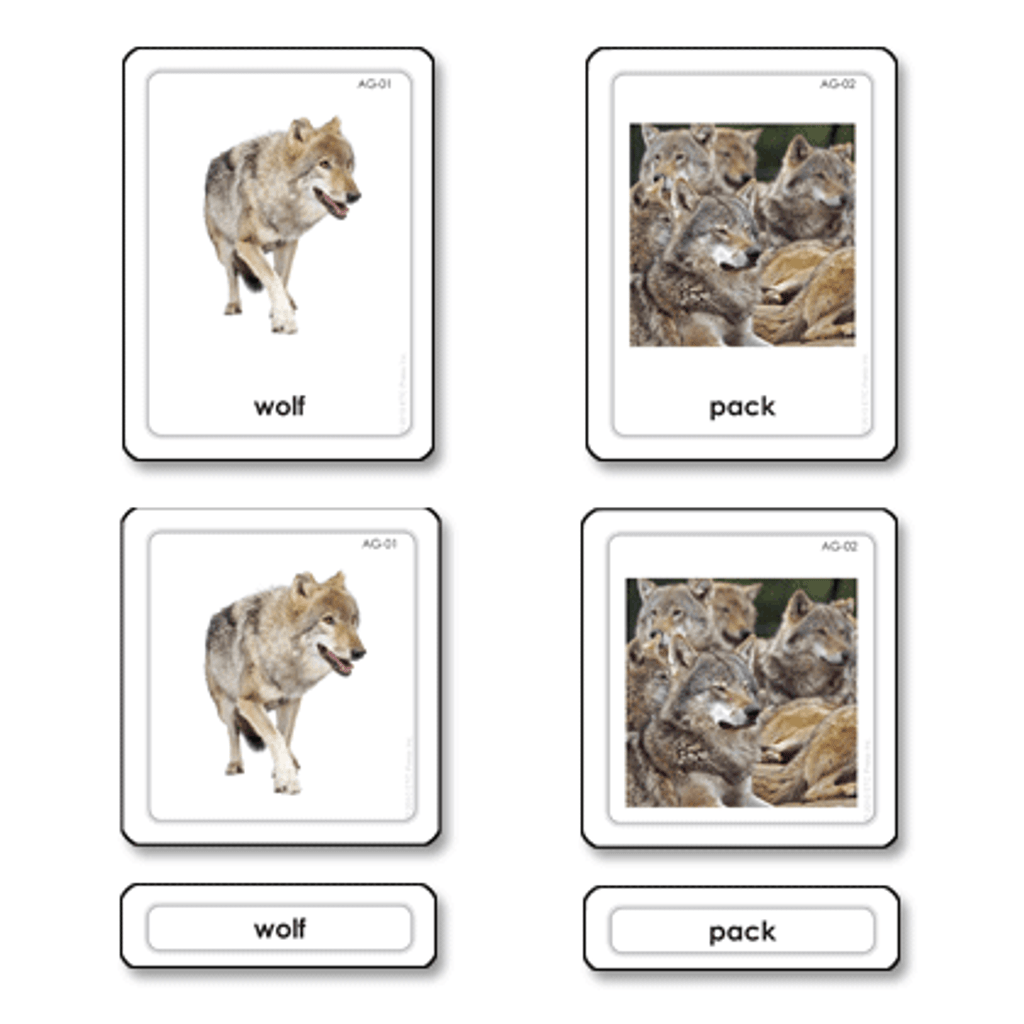 Animal groups 3 part cards (printed on pvc)