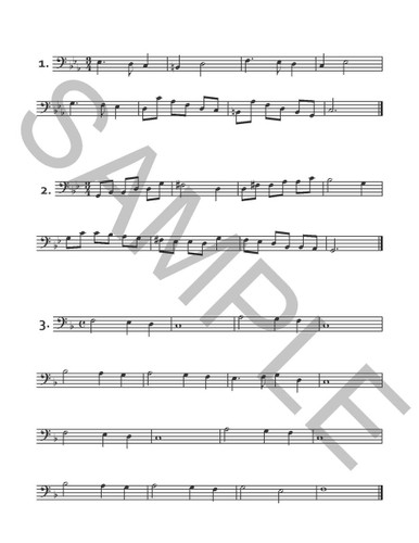 Beyond the Notes and Rhythms: A Practical Approach to Musical Expression