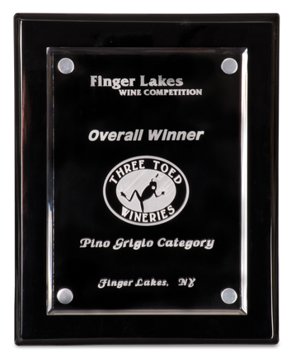 Black Piano Finish Plaque with Floating Clear Acrylic