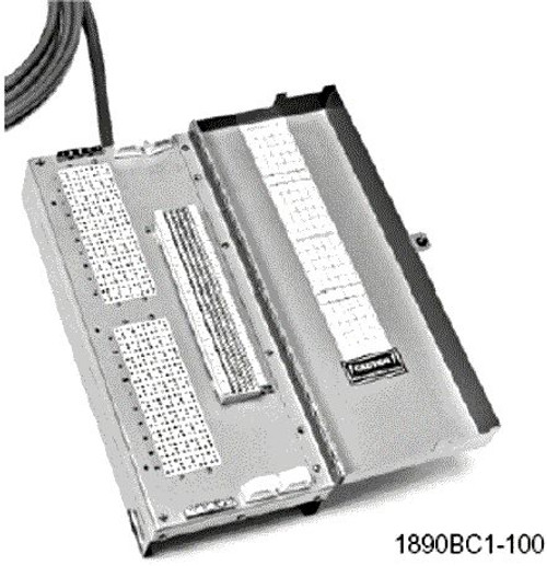 100 Pair Building Entrance Terminal 25' Stub Input - 66 Output 100 Pair Building Entrance Terminal 25' Stub Input - 66 Output