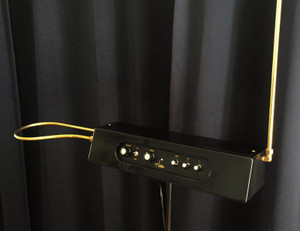 Hobbs Theremin Special (hand built by Charles Hobbs)