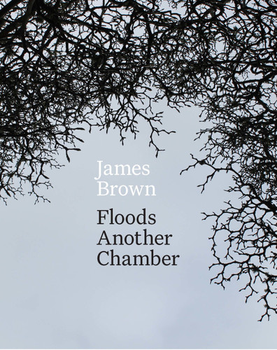 Floods Another Chamber