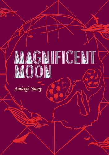 Magnificent Moon