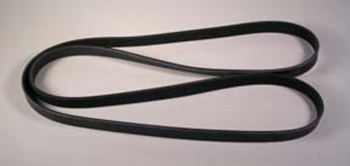 Alternator Serpentine Belt (6.0 Liter),725031