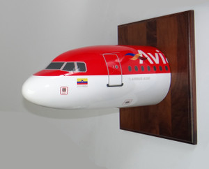 Avianca Airbus A320 Nose