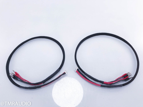 Verastarr Silver Reference Bi-Wire Speaker Cables; 4ft Pair