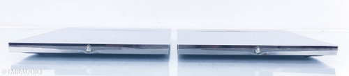Devialet Expert 440 Mono Power Amplifier; Pair; Infinity Core Upgrade