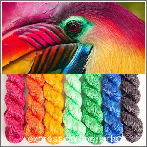 Pre-Order KNOBBED HORNBILL HUES 'LUSTER' SPORT MINI KIT
