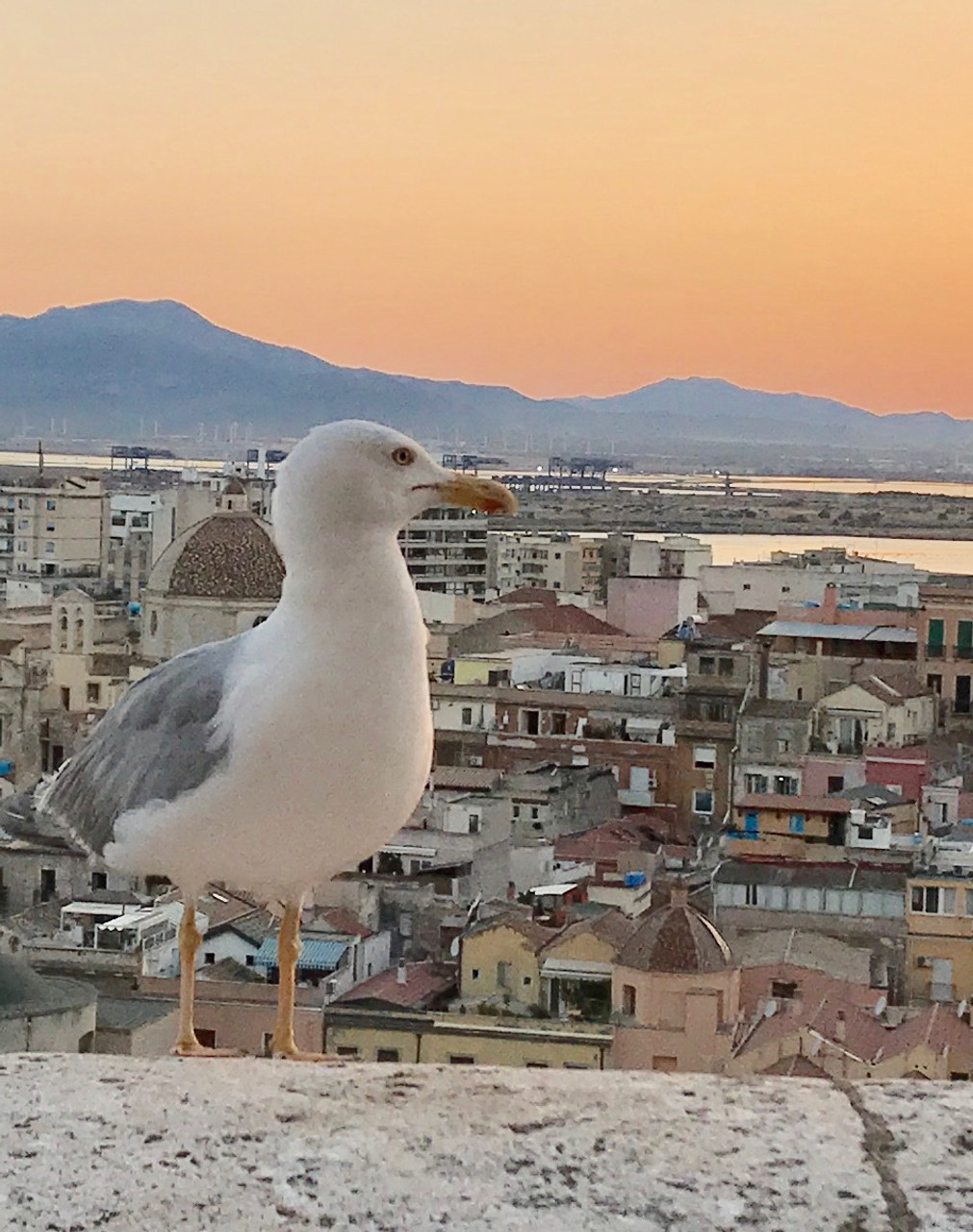 Off the Grid in Sardinia