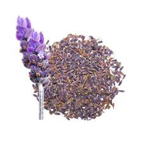 ALFAZEMA (Lavandula officinalis)