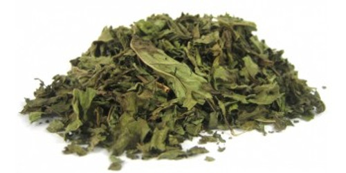 BOLDO CHILENO (Peumus boldus)
