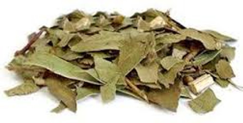 EUCALIPTO AROMÁTICO (Eucaliptus globulos)