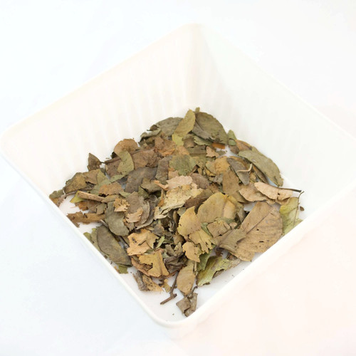 GRAVIOLA (Anona muricata)