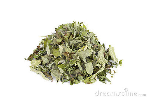 HORTELÃ (Mentha arvensis)