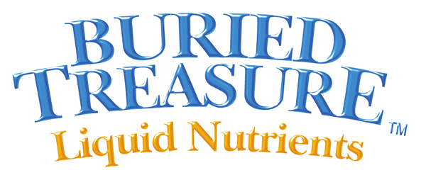 Buried Treasure