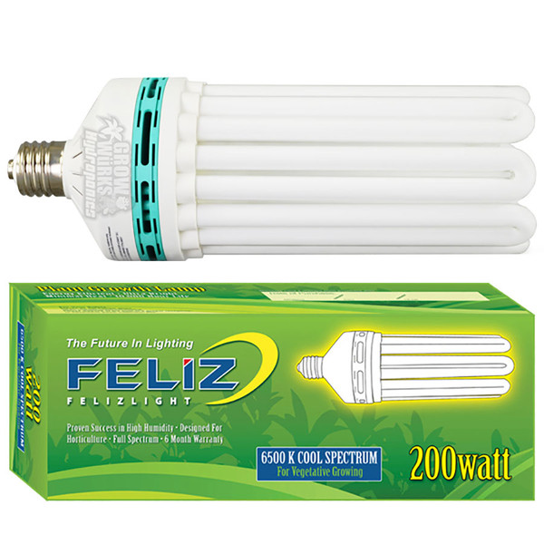 Feliz