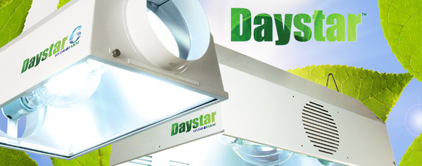 Daystar