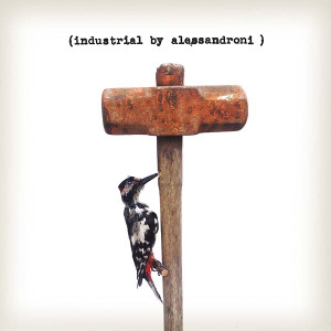 ALESSANDRO ALESSANDRONI Industrial LP
