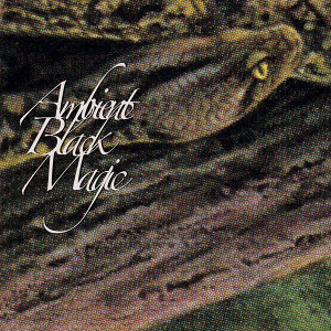 RAINFOREST SPIRITUAL ENSLAVEMENT: Ambient Black Magic 2CD