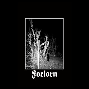 HASUFEL: Forlorn Cassette
