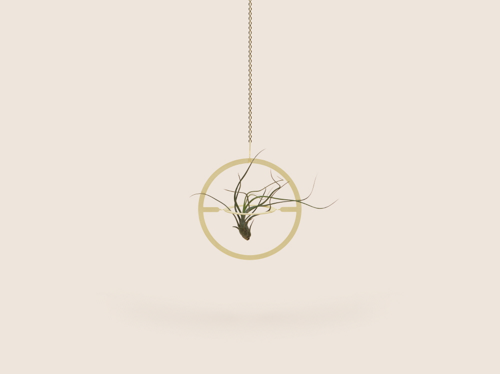 Small Good Things Circle Plant Mobile, Gold