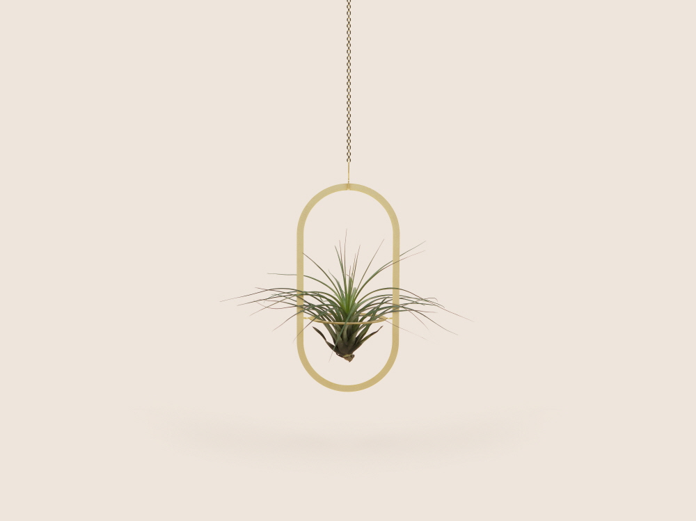 Small Good Things Oval Plant Mobile, Gold
