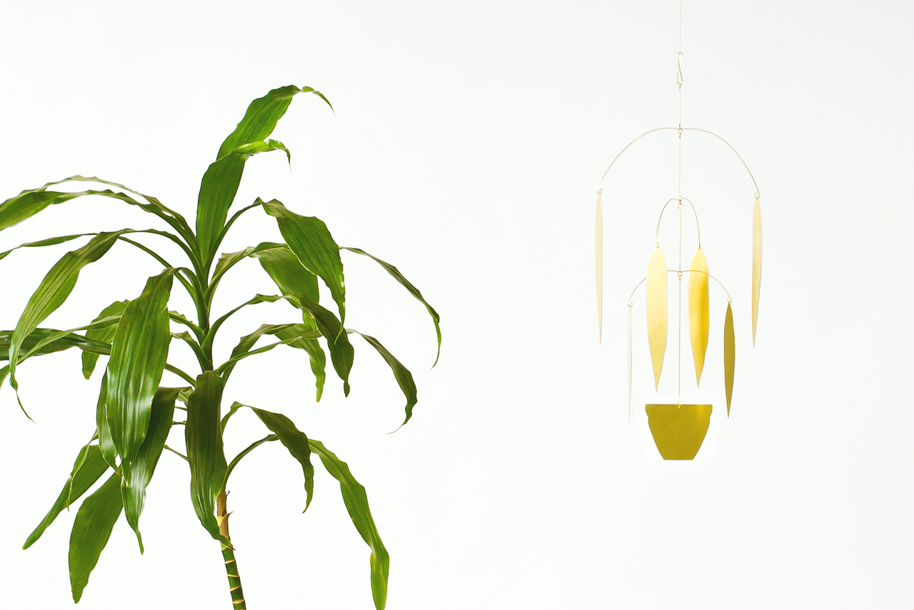 Natalie Joy Dracaena Fragrans Mobile