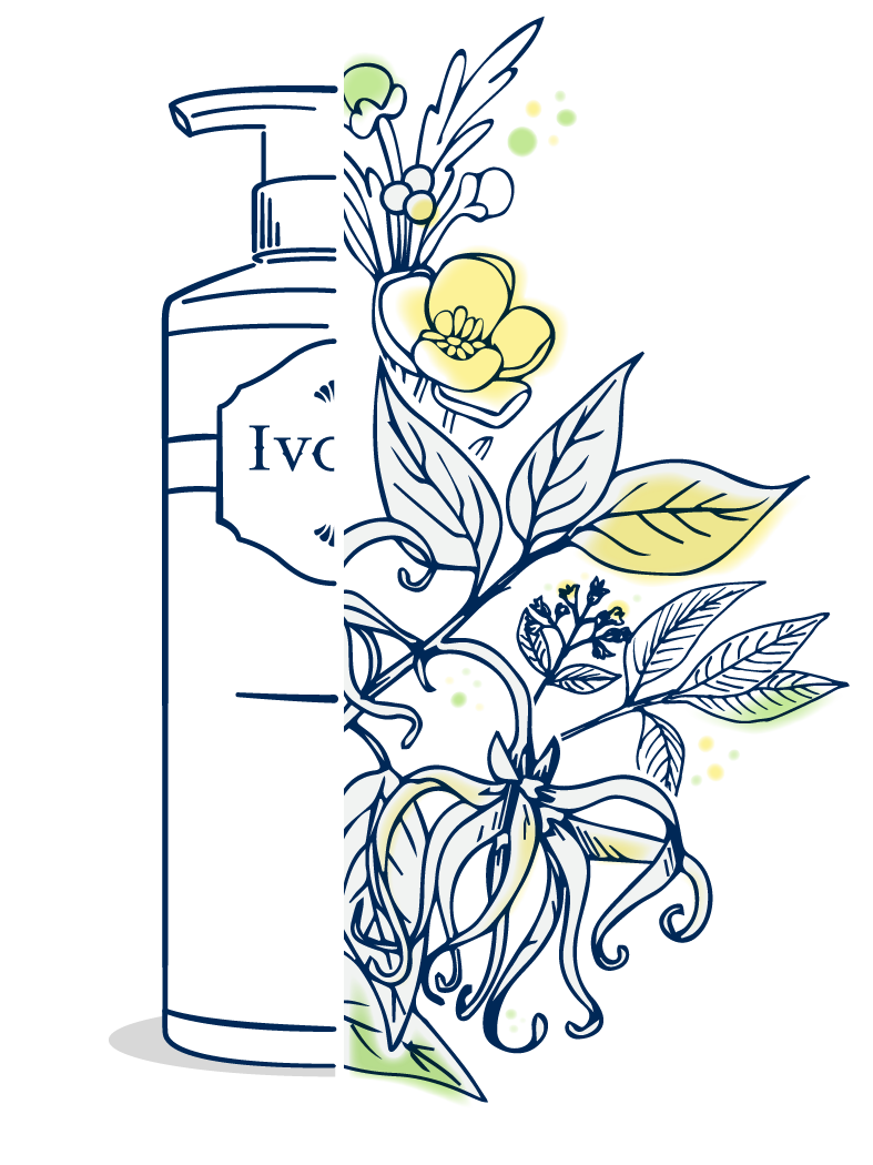 Chamomile