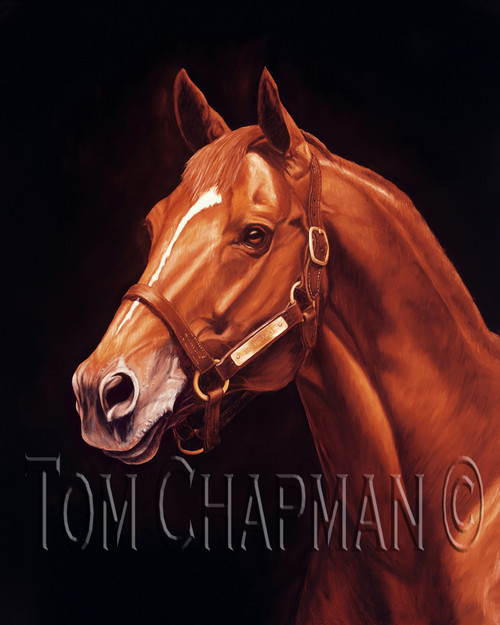 A Giclee print of Secretariat after he claimed the Triple Crown in 1973 A Giclee print of Secretariat after he claimed the Triple Crown in 1973
