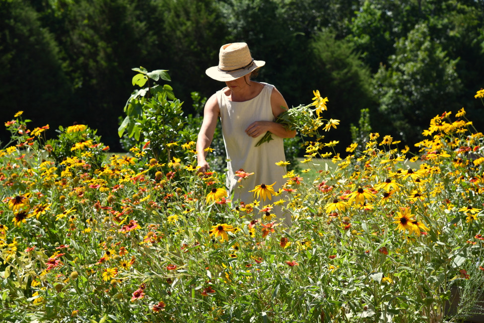 What should I do with all these Wildflowers?