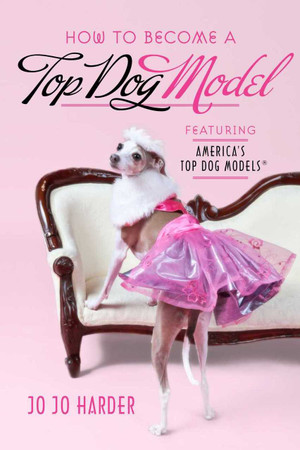How to Become a Top Dog Model