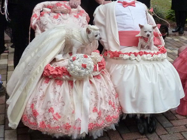 Puppy Love Wedding