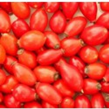 Rosehip macerated Oil for Direct Use on the Skin, Ingredient in Skincare Preparations, or as a Massage Oil. Anti-ageing Properties. 100ml Rosehip macerated Oil for Direct Use on the Skin, Ingredient in Skincare Preparations, or as a Massage Oil. Anti-ageing Properties. 100ml