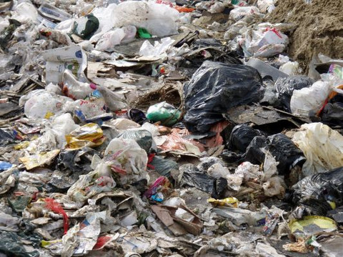 Ban The Bag