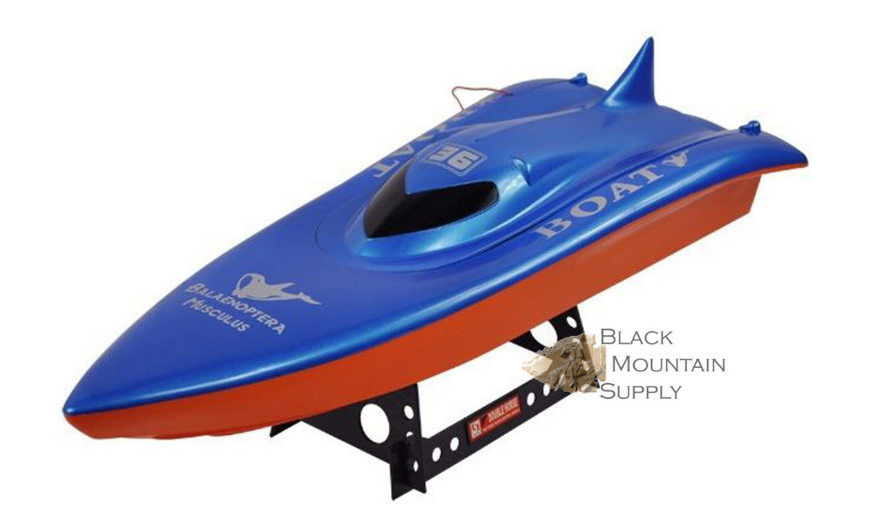 speed boat average speed rc speed boat balaenoptera musculus killer whale speed boat average speed rc speed boat balaenoptera musculus killer whale