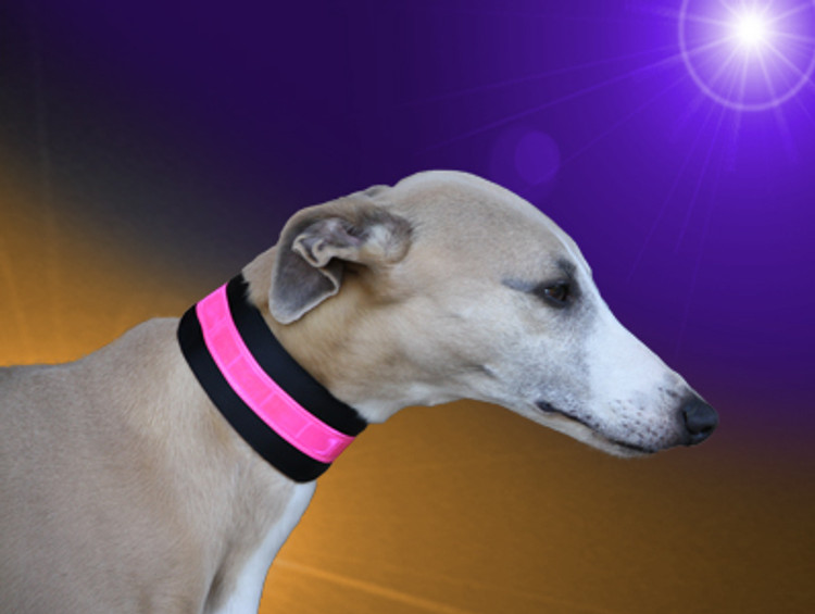 beseen candy reflective collar 2