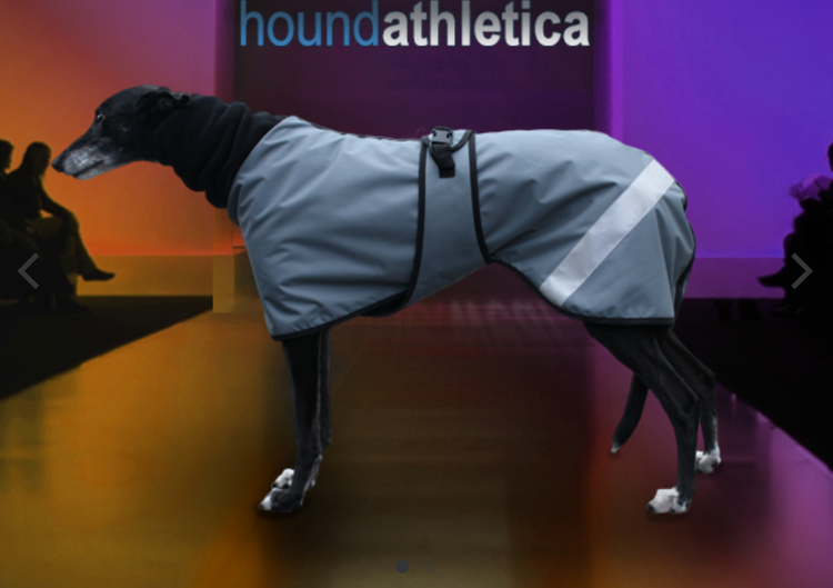 GEEHOUND SPORT steel / jet trim size SMALL (Greyhound)