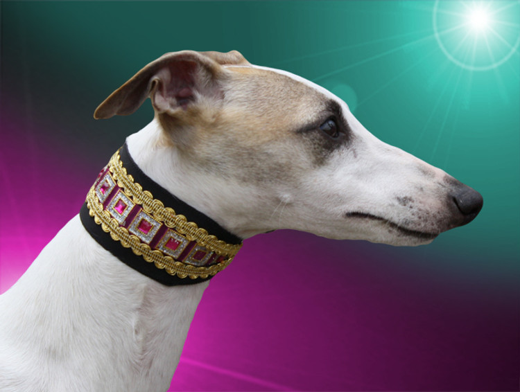 Adored Perfect Princess Whippet Collar
