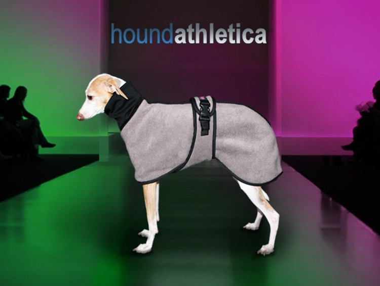iggy coat