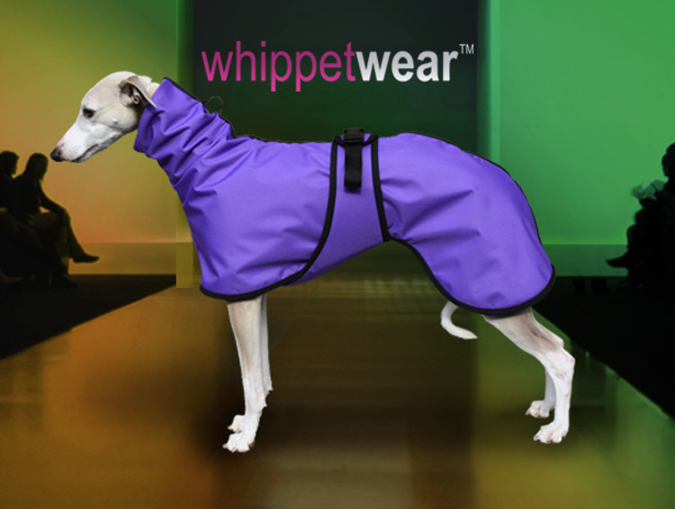 Splash Winter Whippet Coat