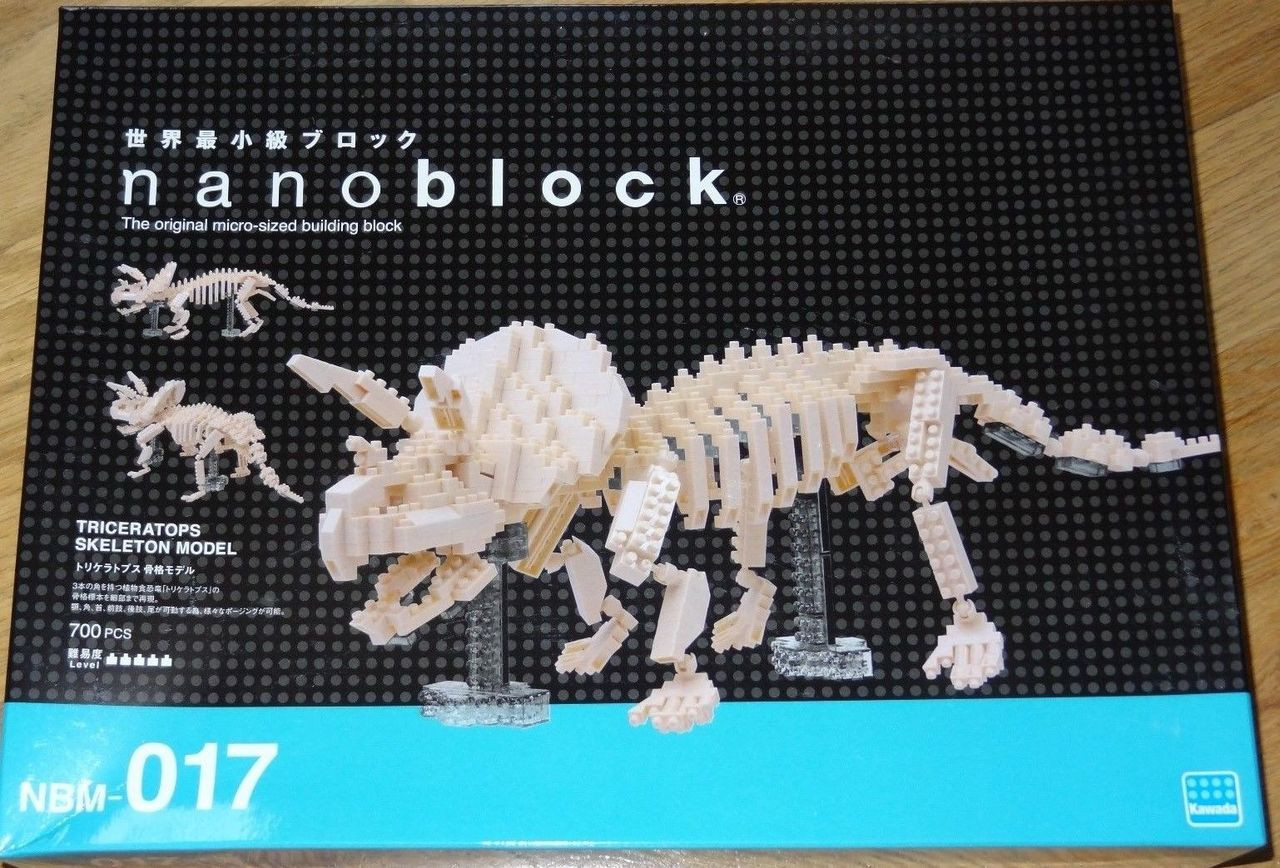 Image result for nanoblocks skeleton