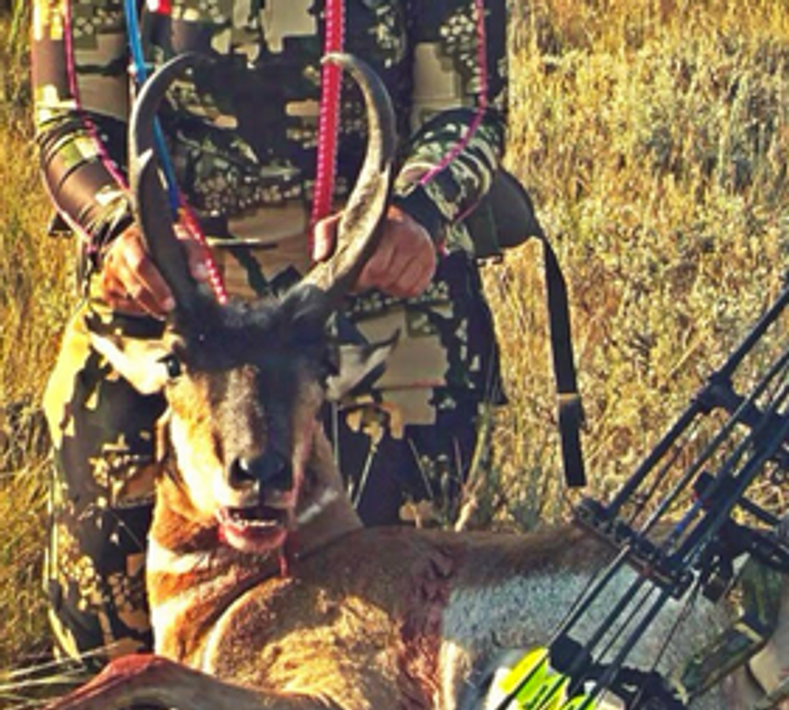 Element Archery making a smackdown on Wyoming Antelope.