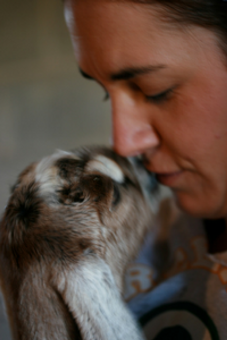 Baby Goats are Coming.! Baby Goats are Coming.!
