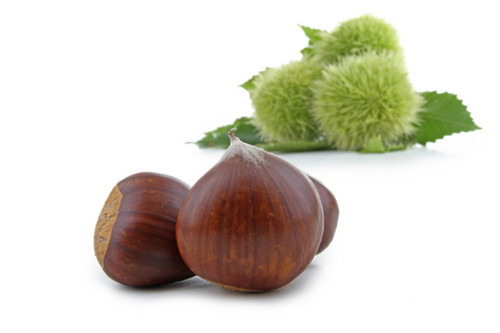 Bach Flower Essence - Sweet Chestnut