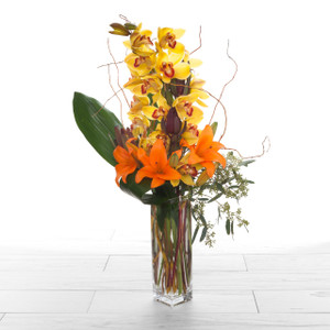 Orchid Harvest
