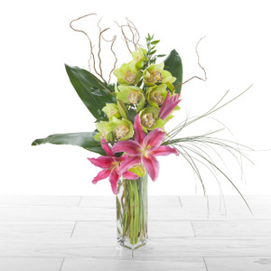 Orchids + Lilies