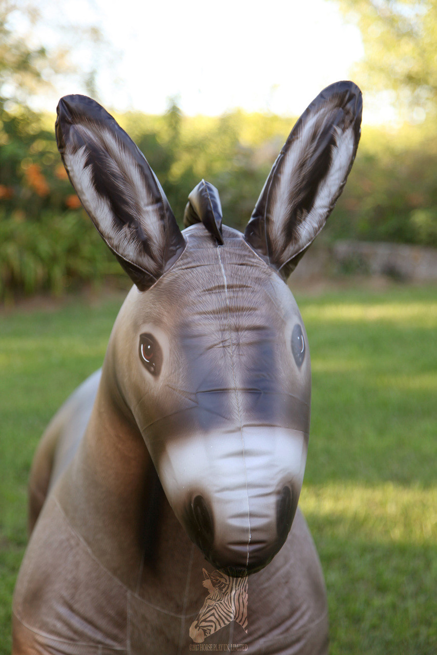 LIFELIKE DONKEY INFLATABLE ANIMAL Horse Play