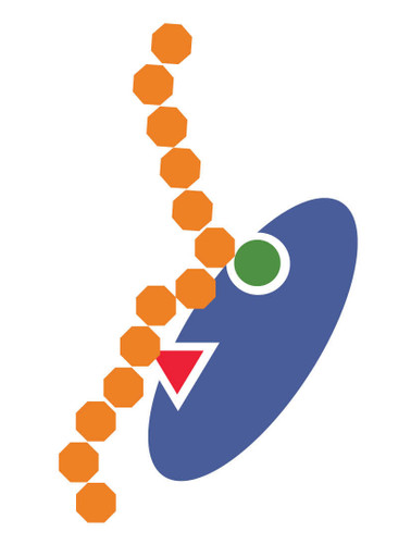 BRD4 (BD1) and H4 K8Ac Binding Assay Kit