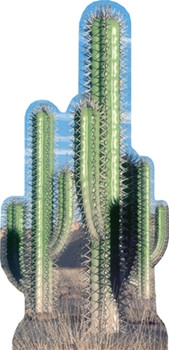 Cactus Group (Western Themed) - Lifesize Cardboard Cutout / Standee Cactus Group (Western Themed) - Lifesize Cardboard Cutout / Standee